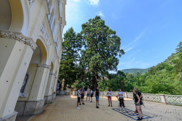 Práca so sadrou a drevom: jedinečné workshopy s komunitným dopadom
